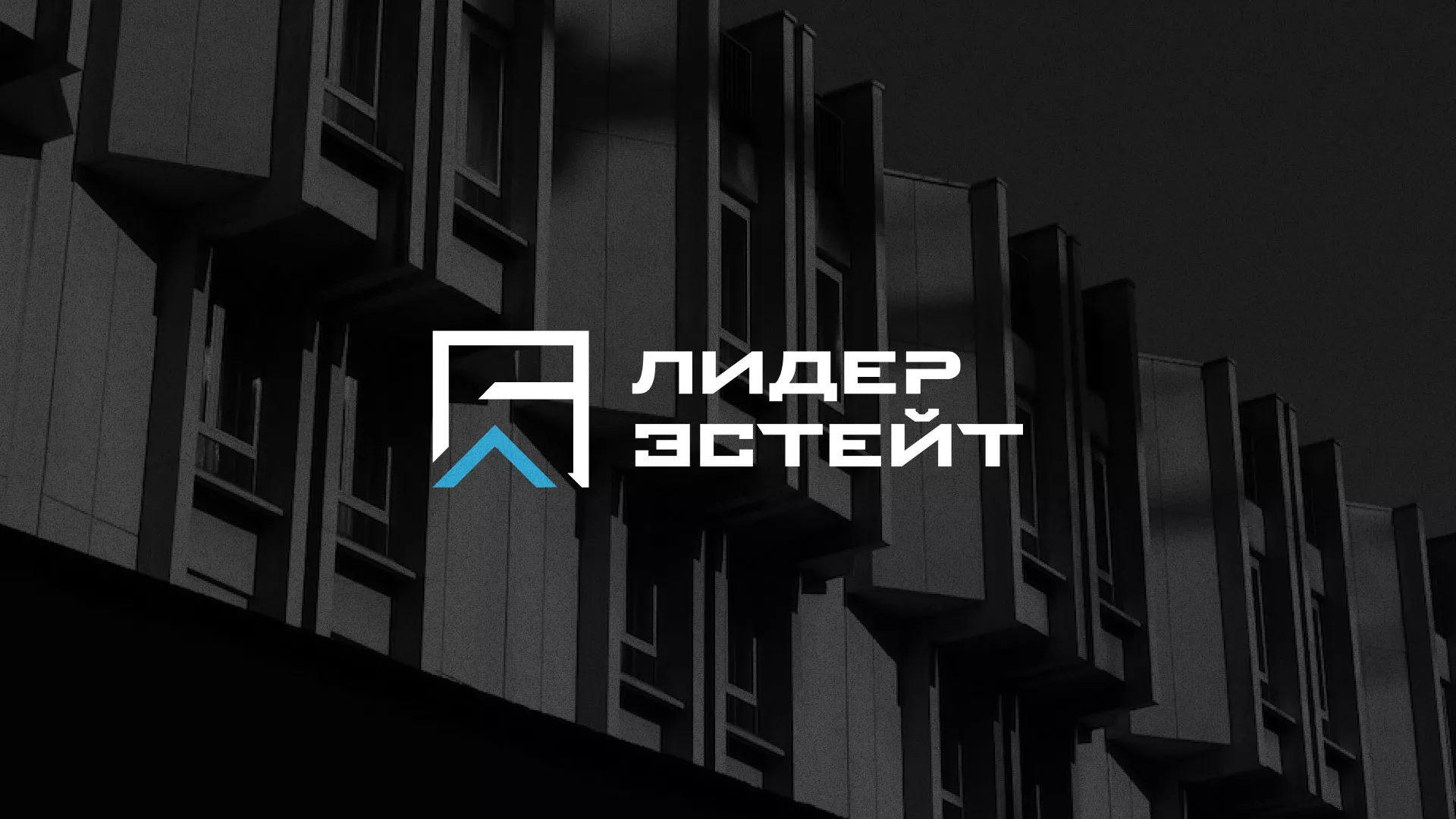 Разработка логотипа агентства недвижимости «Лидер Эстейт» в Старой Руссе